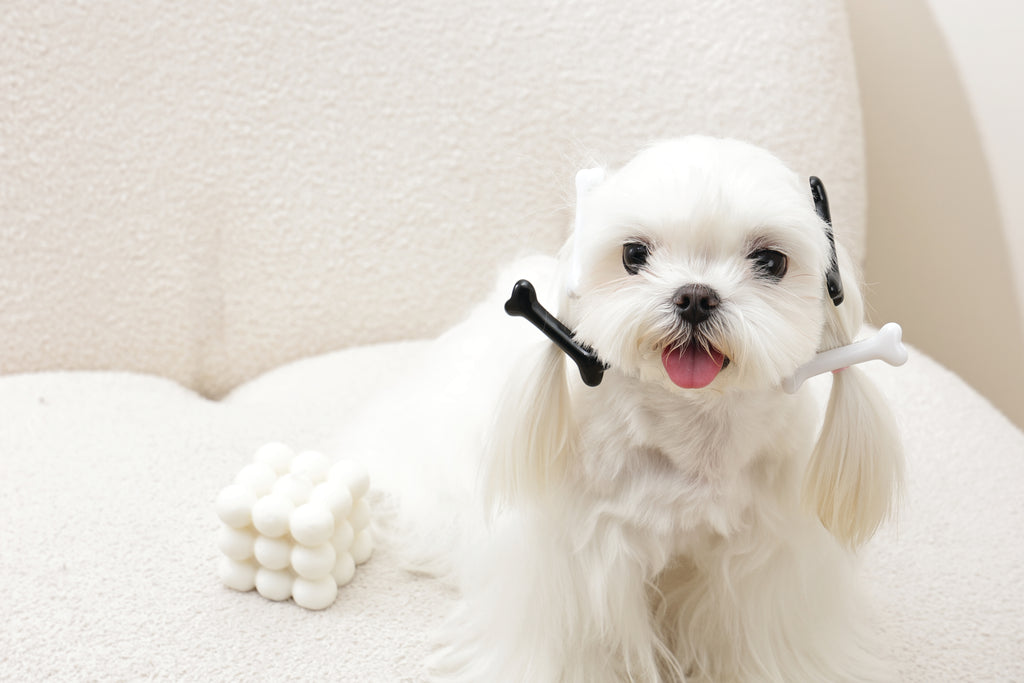 GLAM Accessori per capelli per animali clip a forma di osso - Nero e Bianco