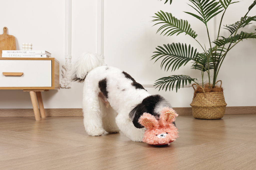 Slippers Dog toy Bunny