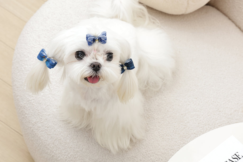 GLAM Accessori per capelli per animali elastico - Blu