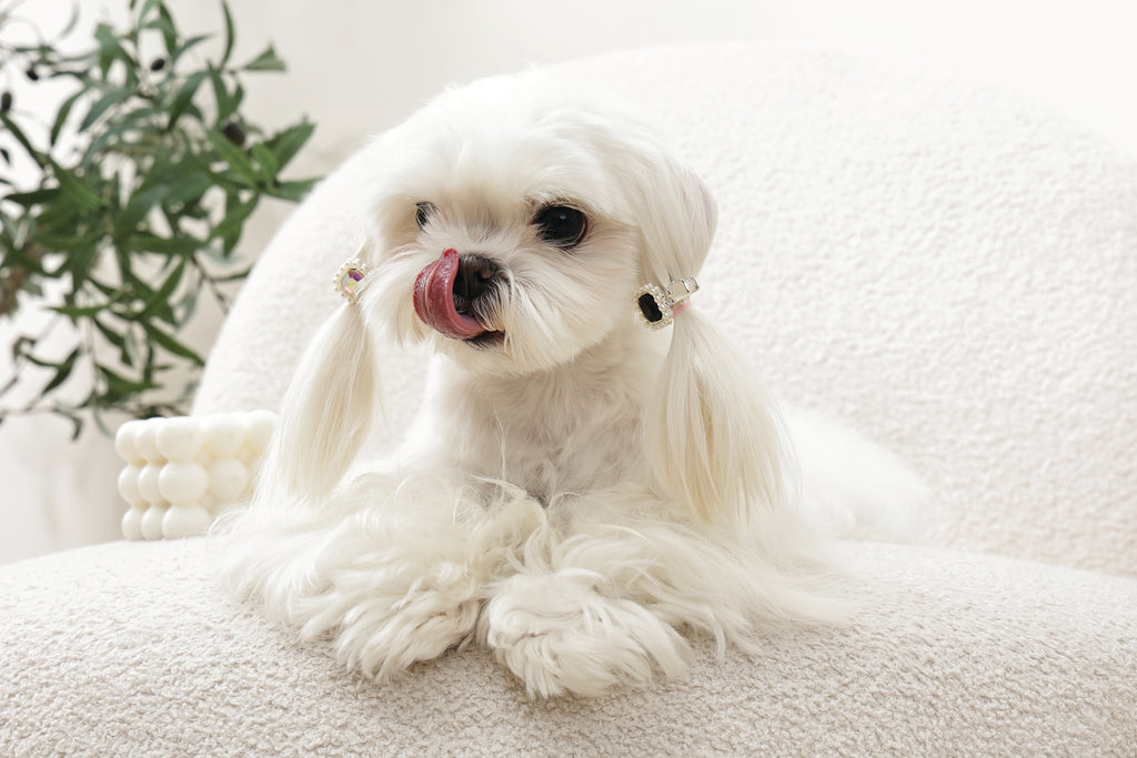 GLAM Accessori per capelli per animali clip a forma di diamante - Nero e Argento