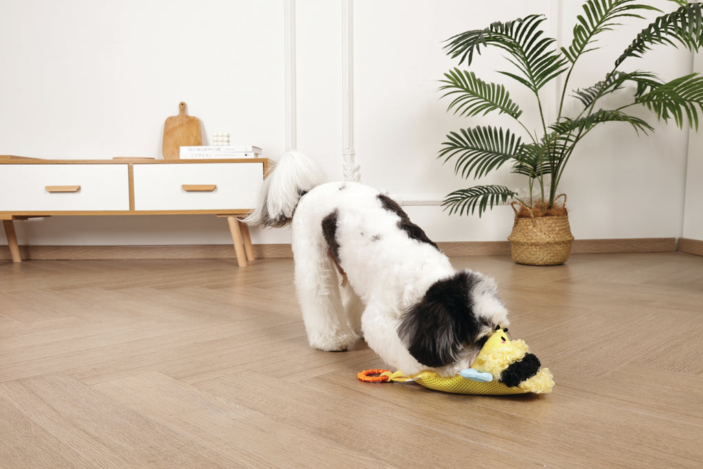 Slippers Dog toy Bee