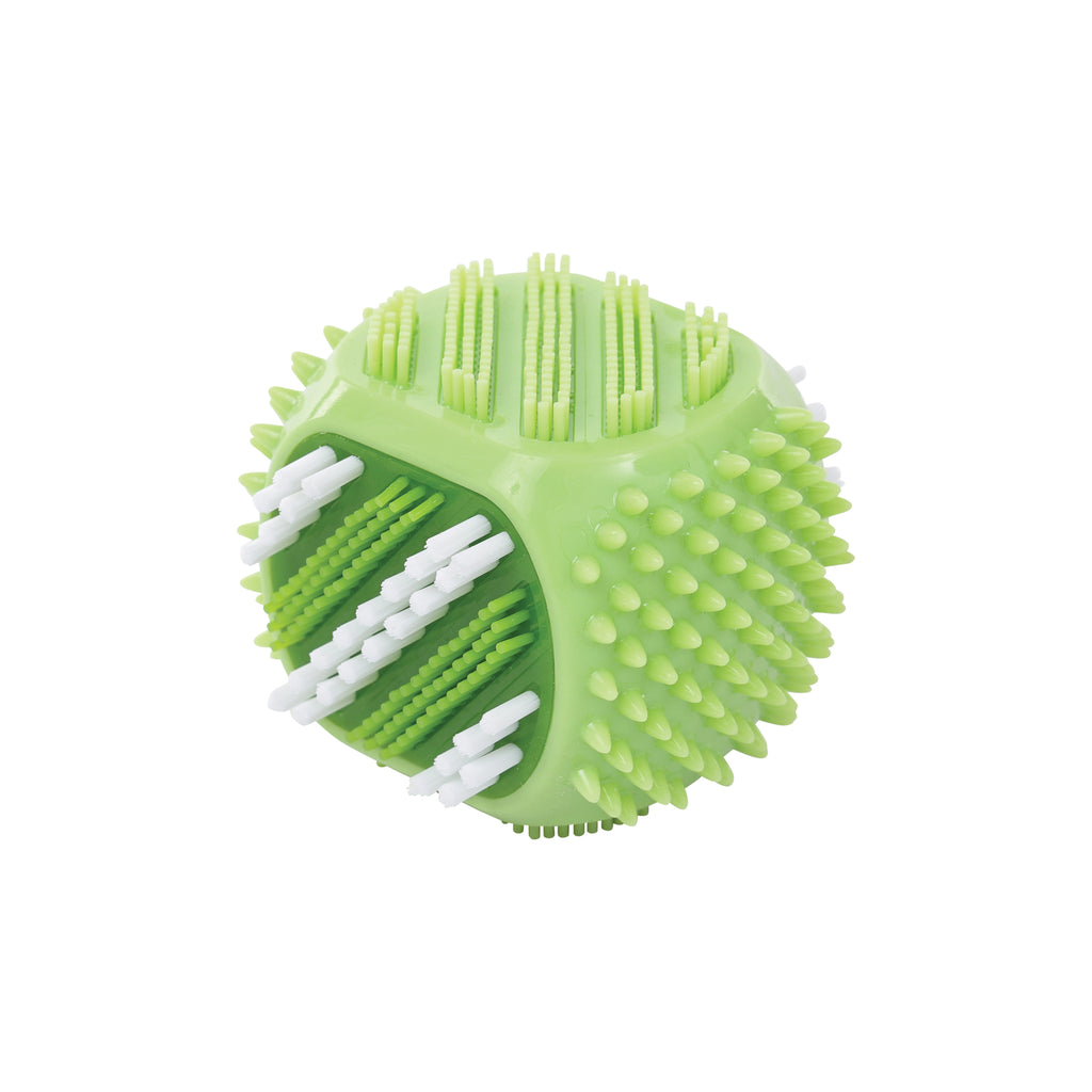 DENTAL Brush toy SQUEAKY CUBE