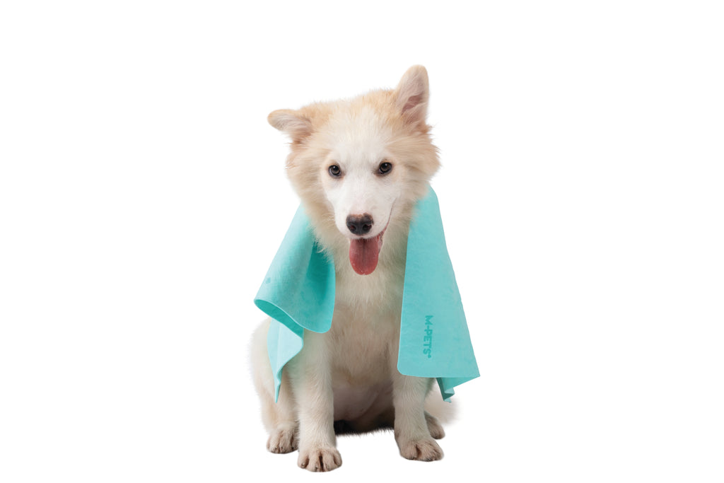 BATHTIME Quick-dry Towel for Cats and Dogs Green Bubble