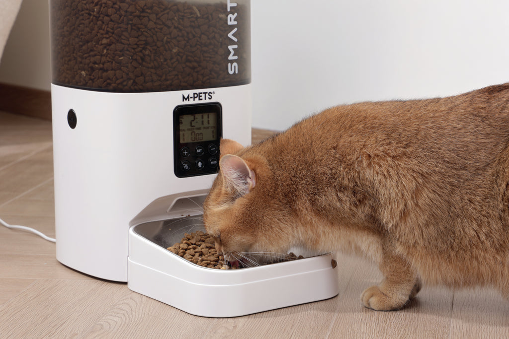 SMARTO M700 4L Dispenser automatico di cibo