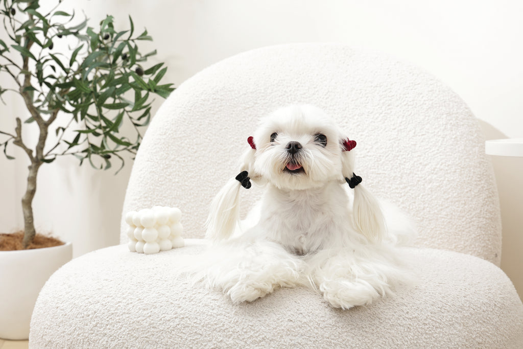 GLAM Accessori per capelli per animali clip a forma di cuore - Nero e Rosso