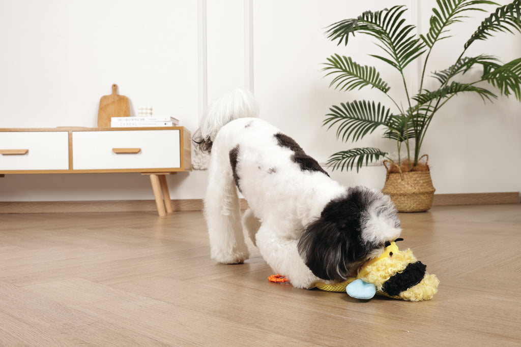 Slippers Dog toy Bee