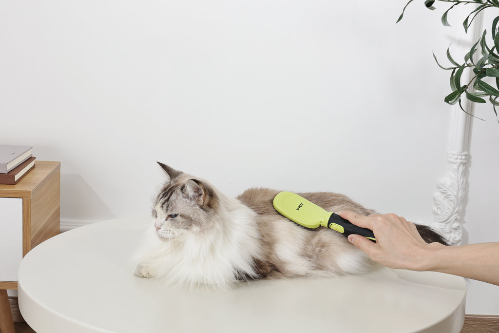 CLICK and GROOM Pin Brush