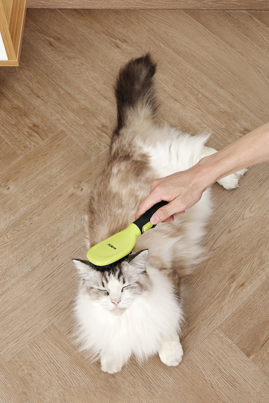 CLICK and GROOM Bristle Brush