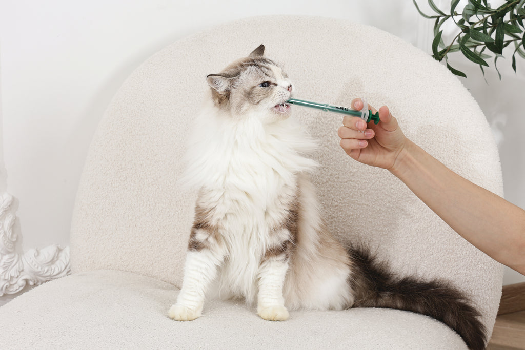 PROCARE medicine feeder set - 2pcs