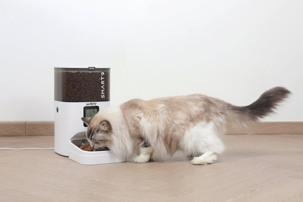 SMARTO M700 4L Dispenser automatico di cibo
