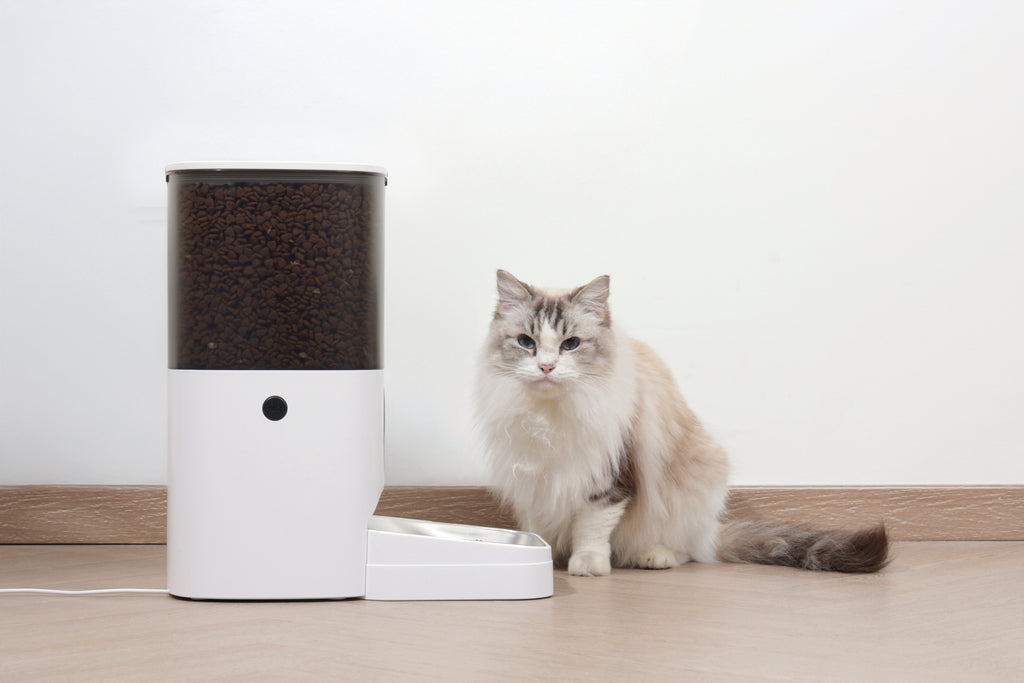 SMARTO M800 6L Distributore automatico di cibo