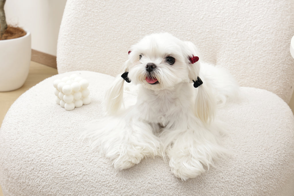 GLAM Accessori per capelli per animali clip a forma di cuore - Nero e Rosso