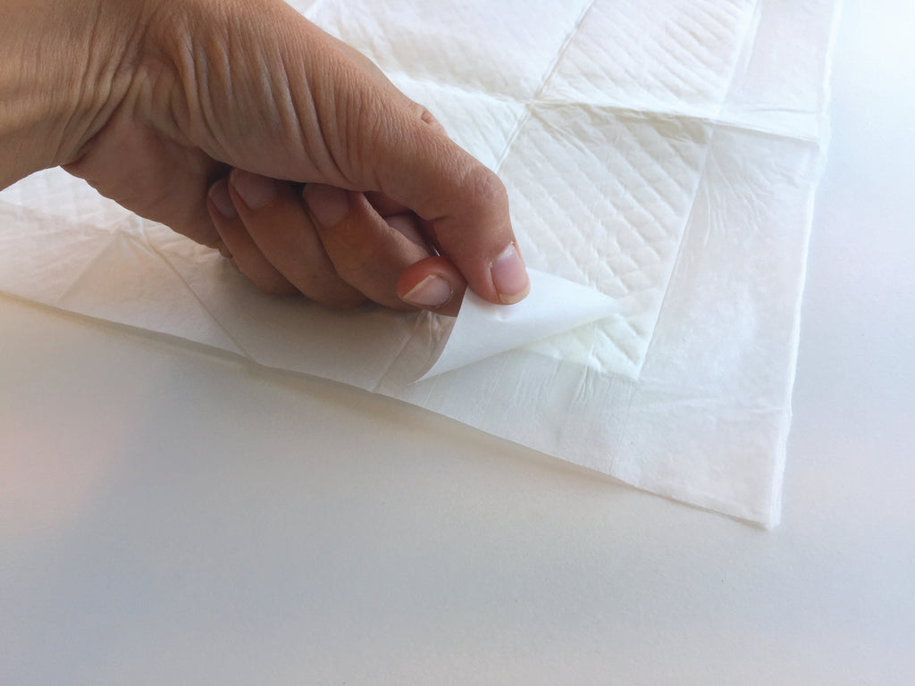 Eeasy Fix Training Pads 60 x 60 cm - 30 pz