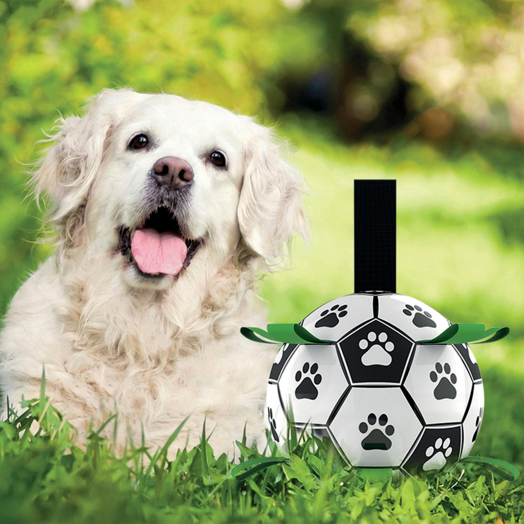 PALLONE da CALCIO