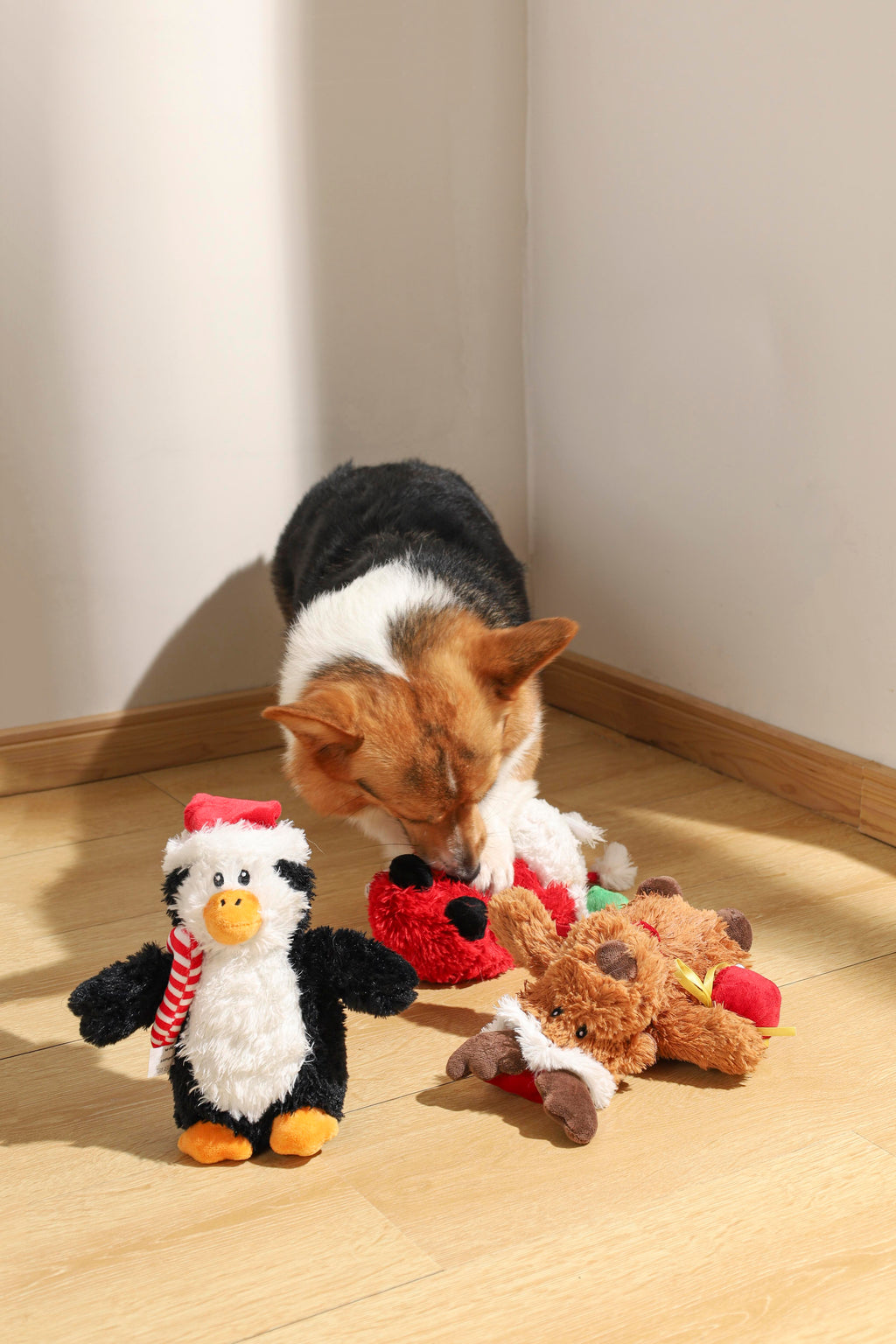 GIOCATTOLO PER CANI NATALIZIO - ILEX