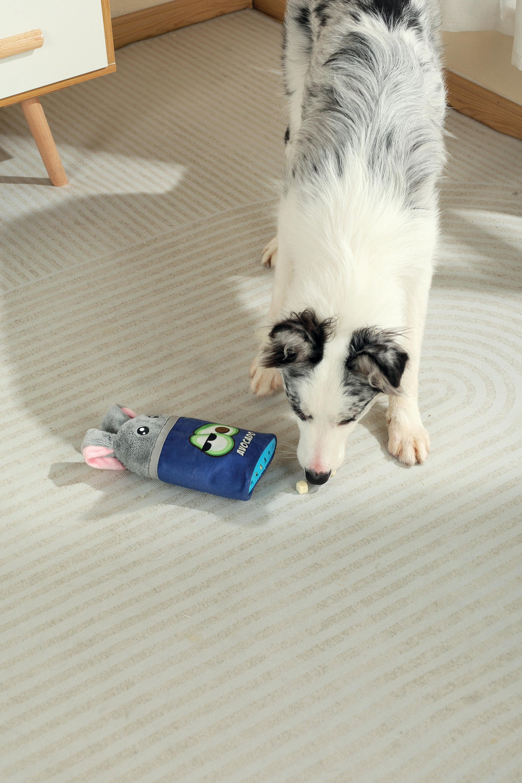Distributore di cibo Snack Attack giocattolo per cani - ROGER