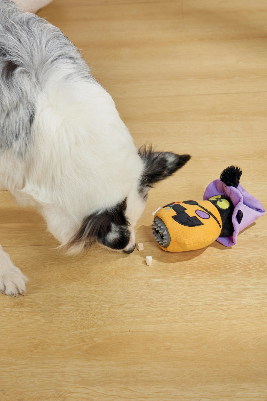 Giocattolo per Cani Halloween Snack Attack - Zucca