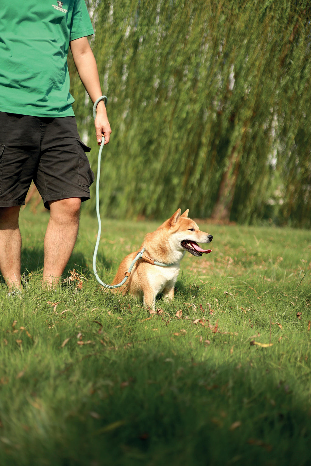 Guinzaglio e Collare ECO per Cani 2 in 1 Bianco