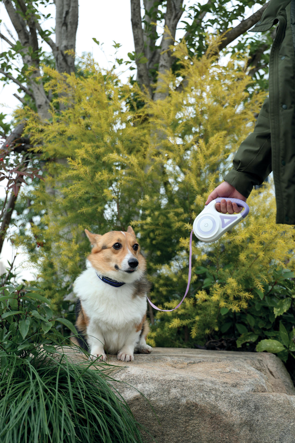 FLASH Guinzaglio Retrattile per Cani Viola