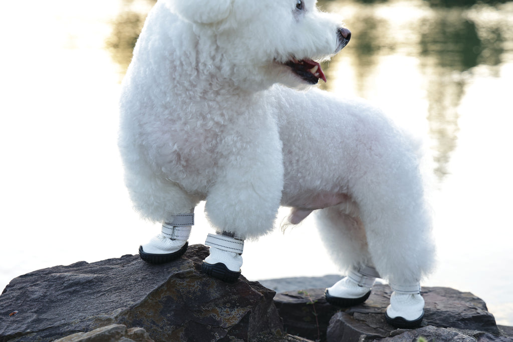 FLEXI SHOES Dog - White edition