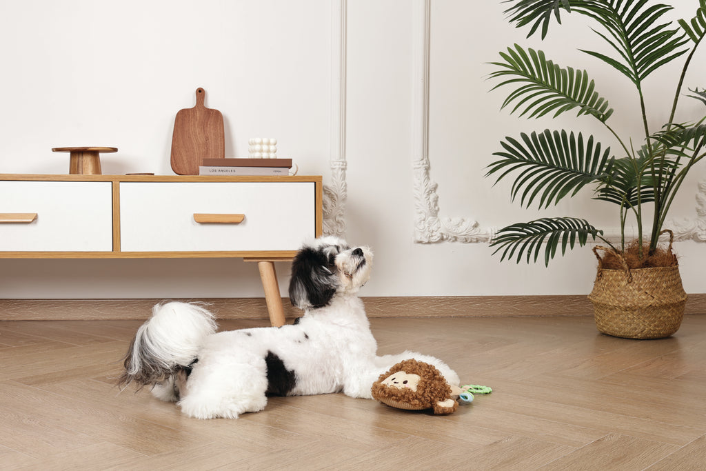 Slippers Dog toy Monkey