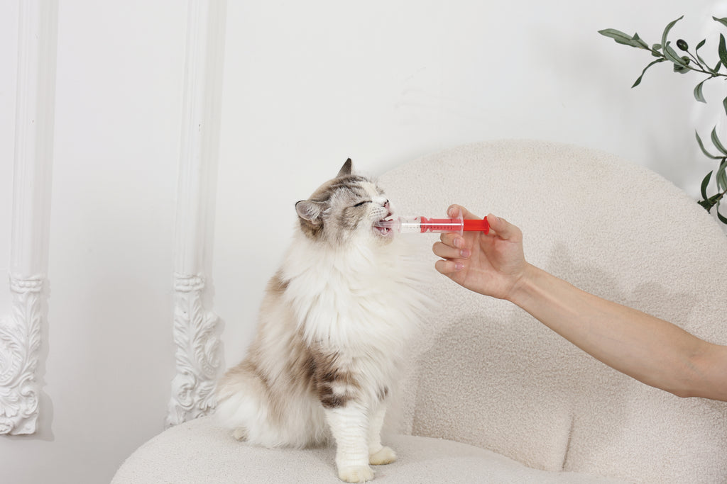 PROCARE medicine feeder set - 2pcs