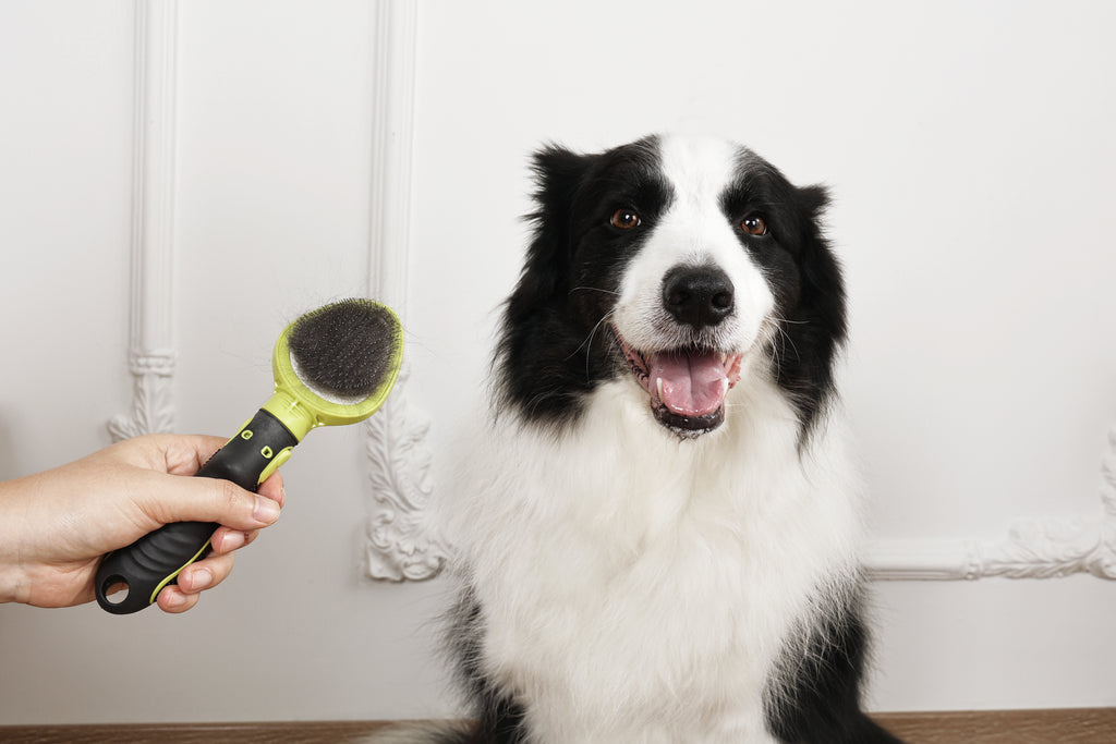CLICK and GROOM Slicker Brush