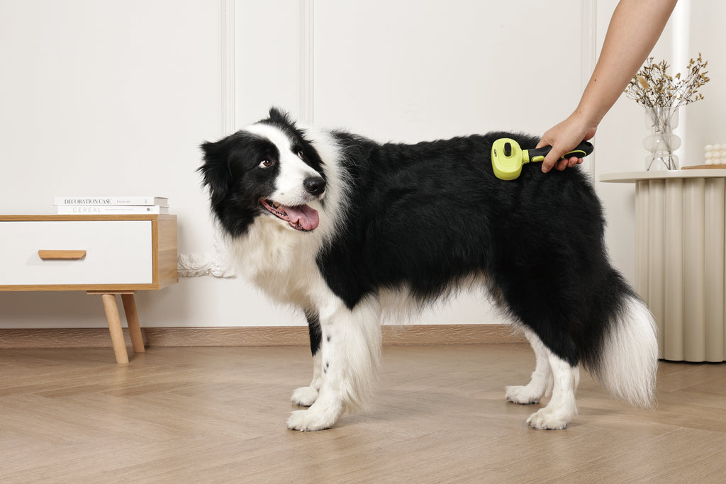 CLICK and GROOM 1-click Cleaning Pin