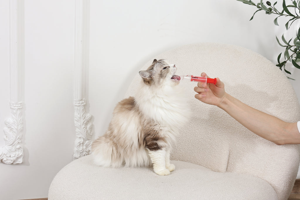 PROCARE medicine feeder set - 2pcs