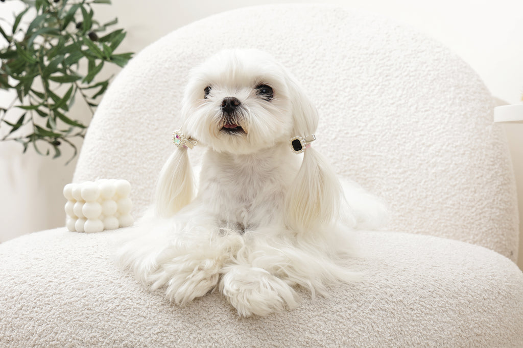 GLAM Accessori per capelli per animali clip a forma di diamante - Nero e Argento