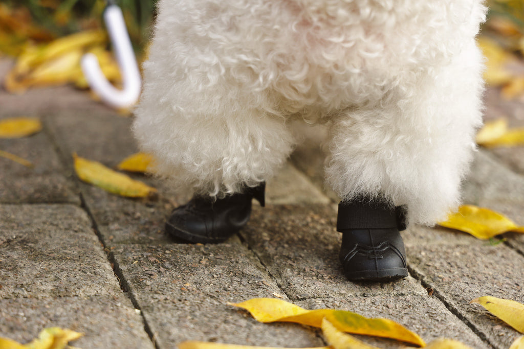 RAINY DAY Dog shoes Black