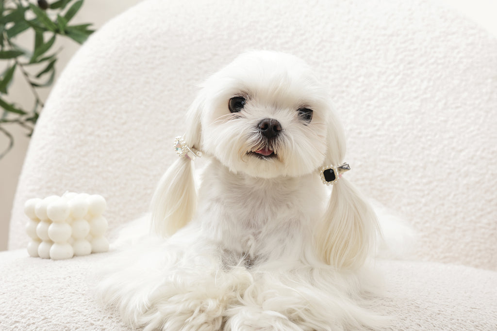 GLAM Accessori per capelli per animali clip a forma di diamante - Nero e Argento