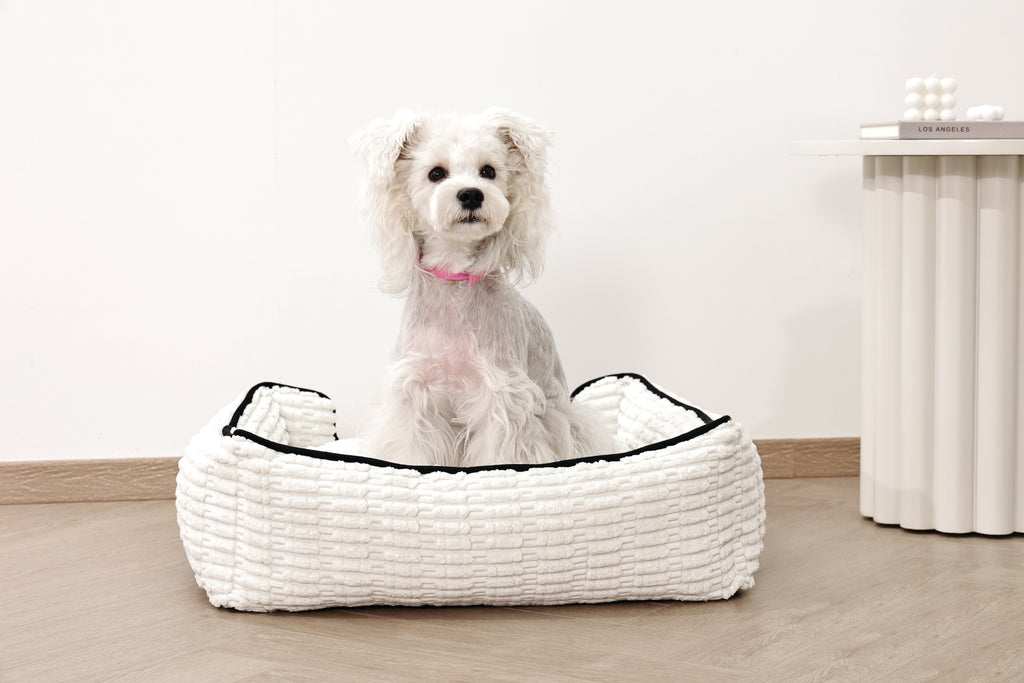 KEEP CALM Calming pheromone collar set for DOGS - 4 pcs