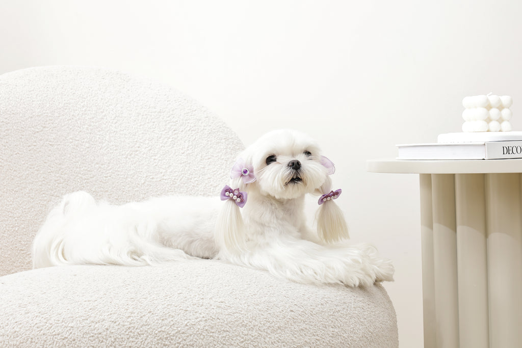 GLAM Accessori per capelli per animali elastico - Viola