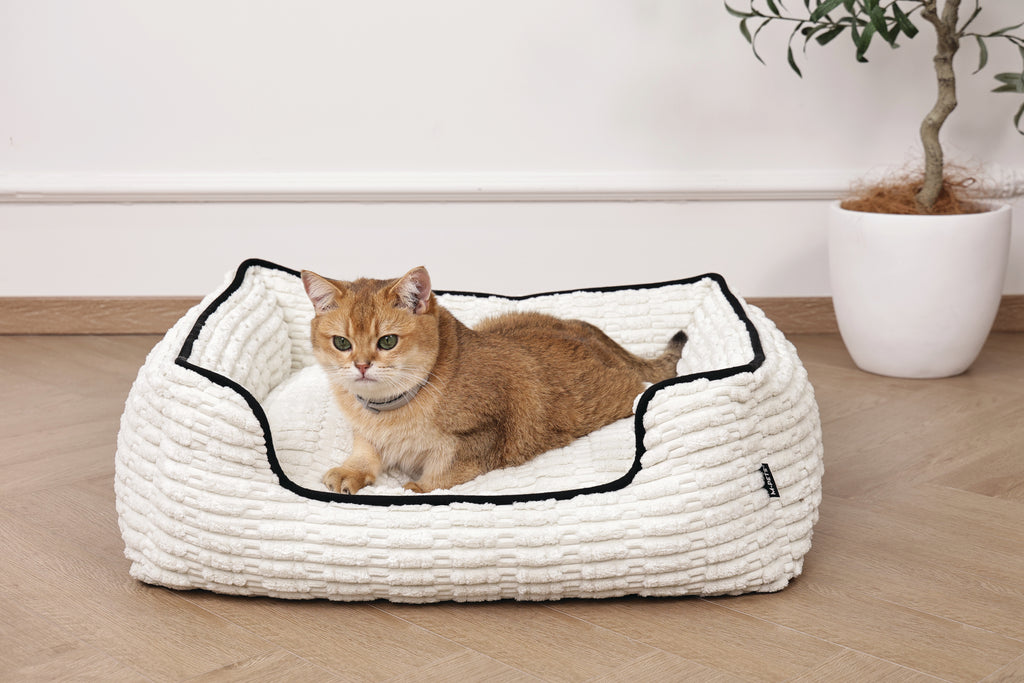 KEEP CALM - Set di collari con feromoni calmanti per gatti 4 pz