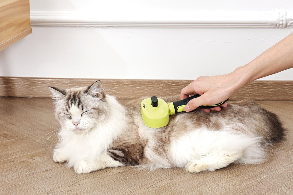 CLICK and GROOM 1-click Cleaning Pin