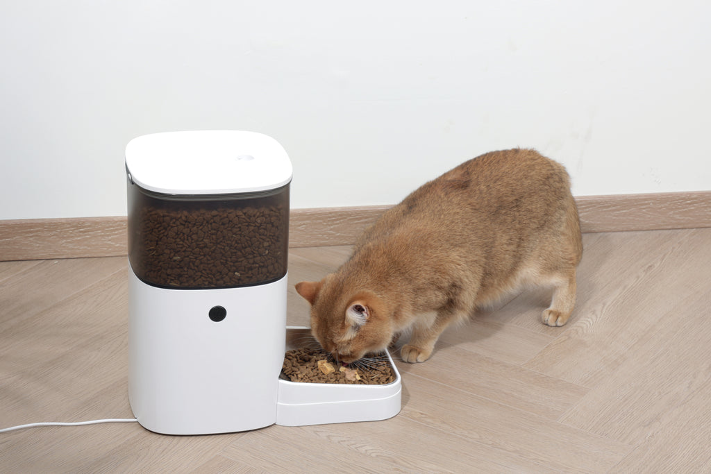 SMARTO M700 4L Dispenser automatico di cibo