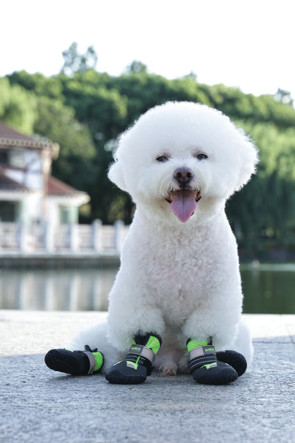 FLEXI SHOES Dog - Green edition