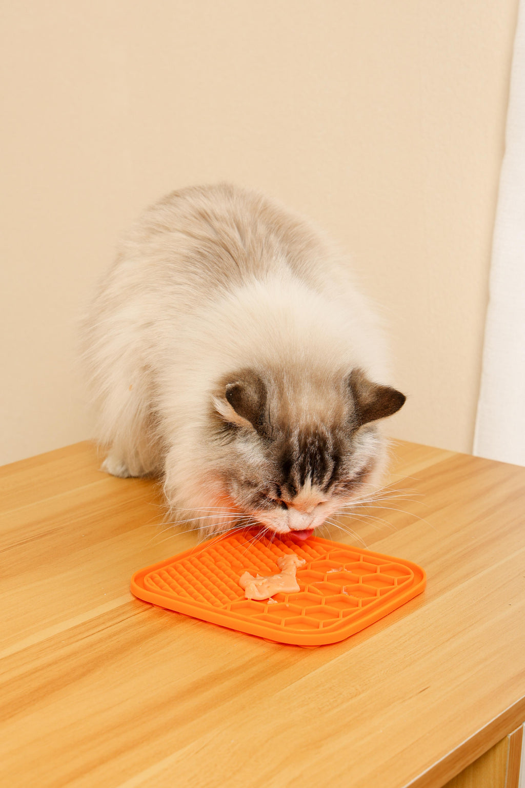 Delizie Cremose per Gatti - Pollo