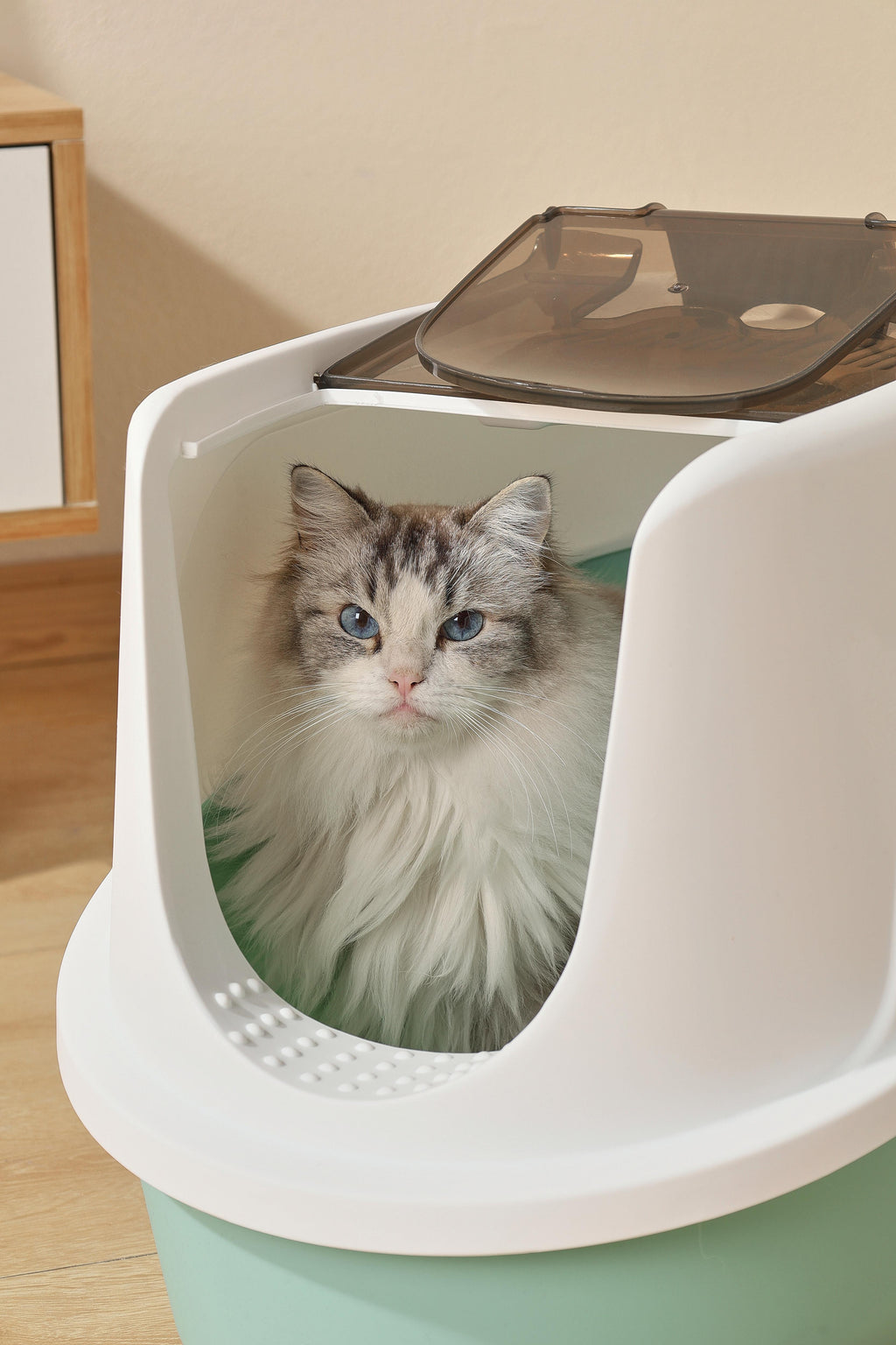 Lettiera per Gatti ECO TIMA - Verde Mare