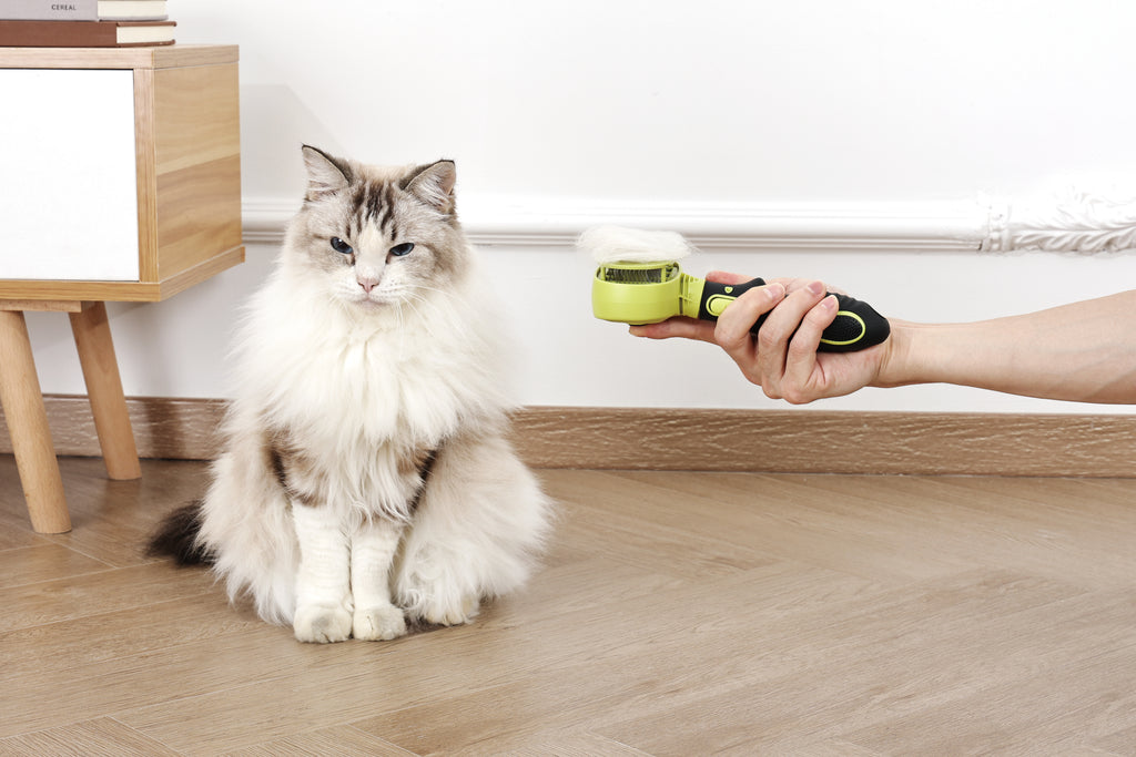 CLICK and GROOM 1-click Cleaning Pin