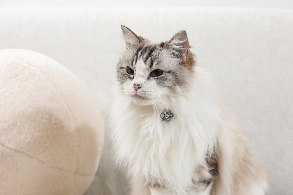 GLAM Accessori per capelli per animali clip a forma di fiore - Rosa e Bianco