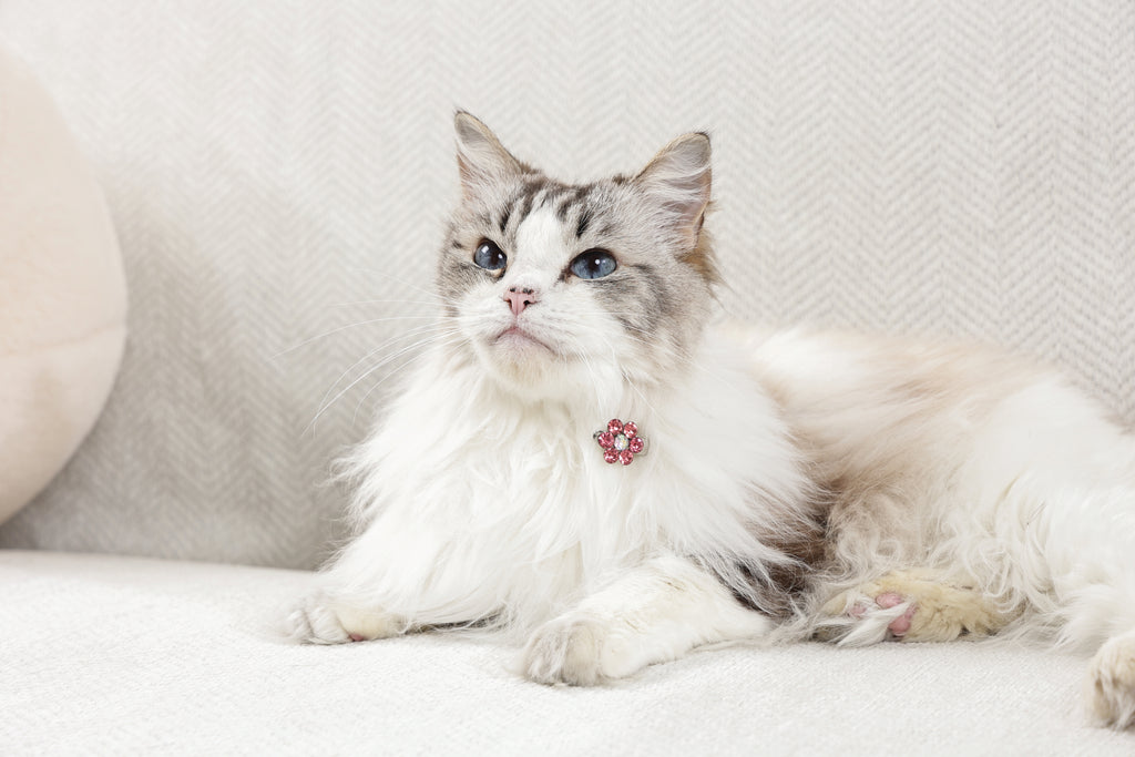 GLAM Accessori per capelli per animali clip a forma di fiore - Rosa e Bianco