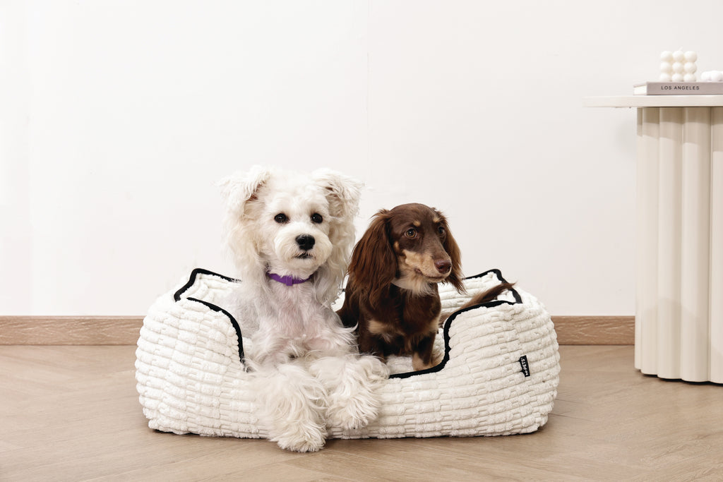 KEEP CALM Calming pheromone collar set for DOGS - 4 pcs