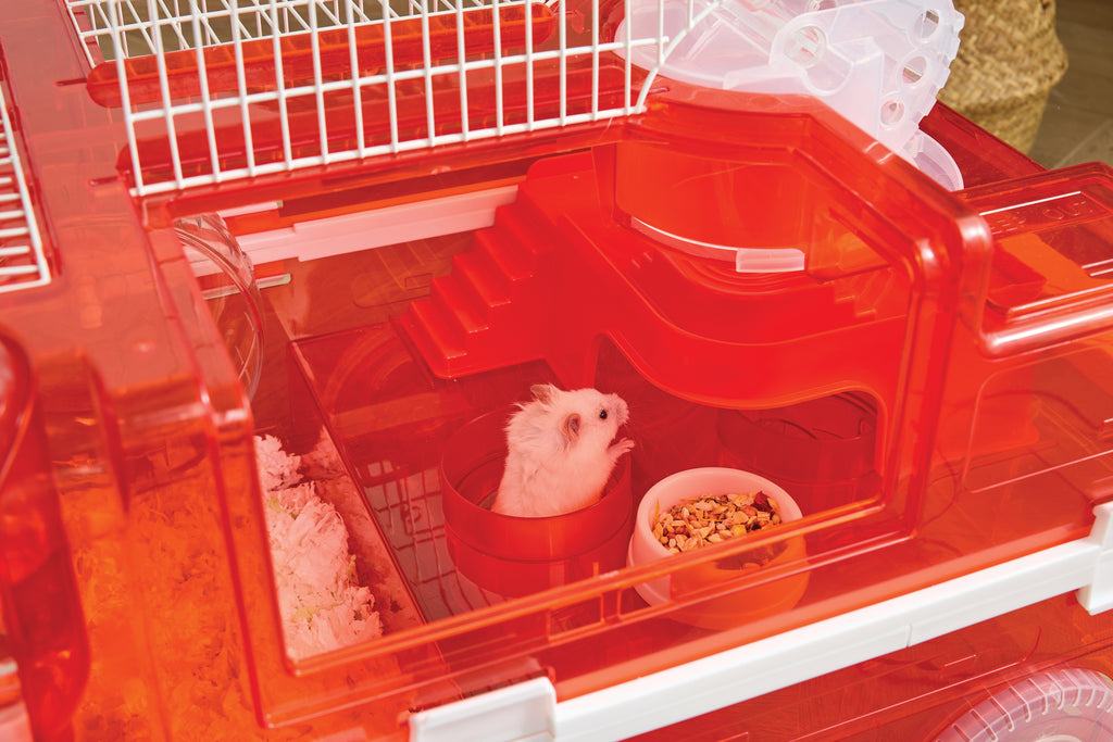 Hamitruck Giocattolo per criceti