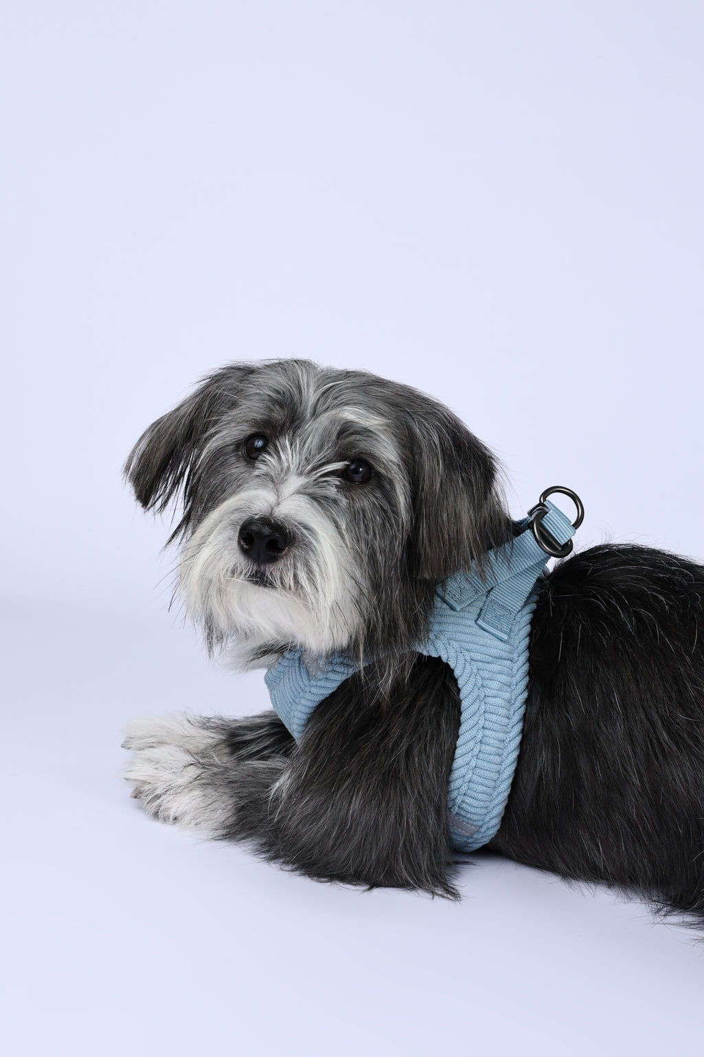 VELVET Dog harness Dusty Blue