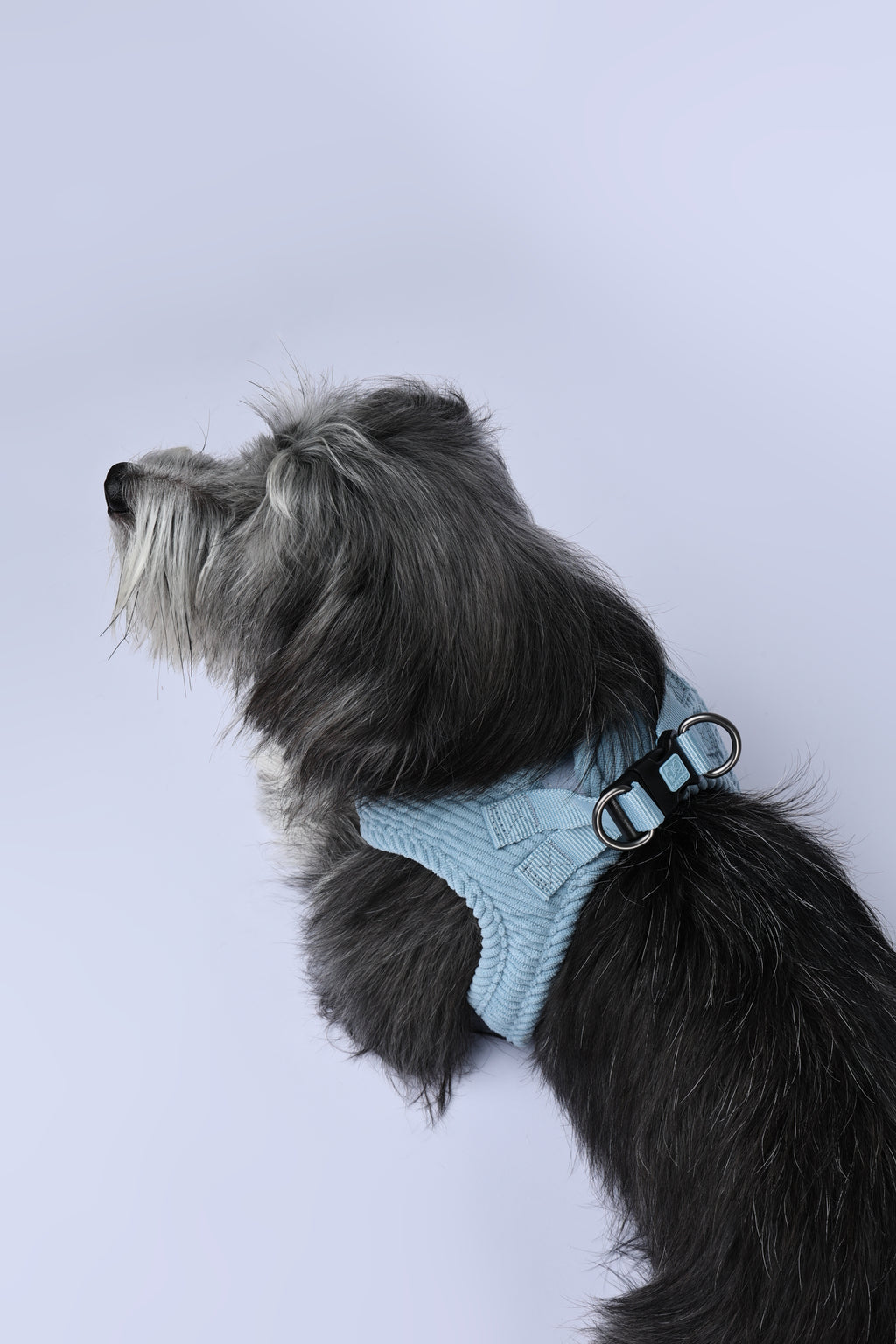 VELVET Dog harness Dusty Blue