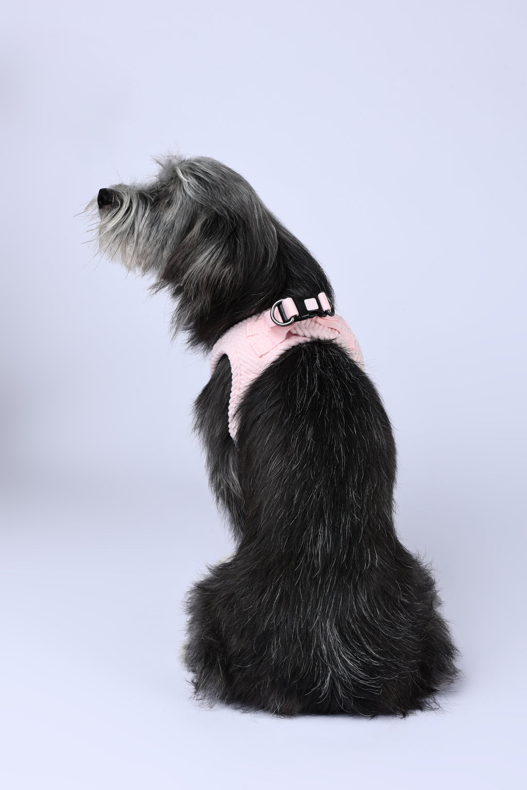 VELVET Dog harness Petal Pink