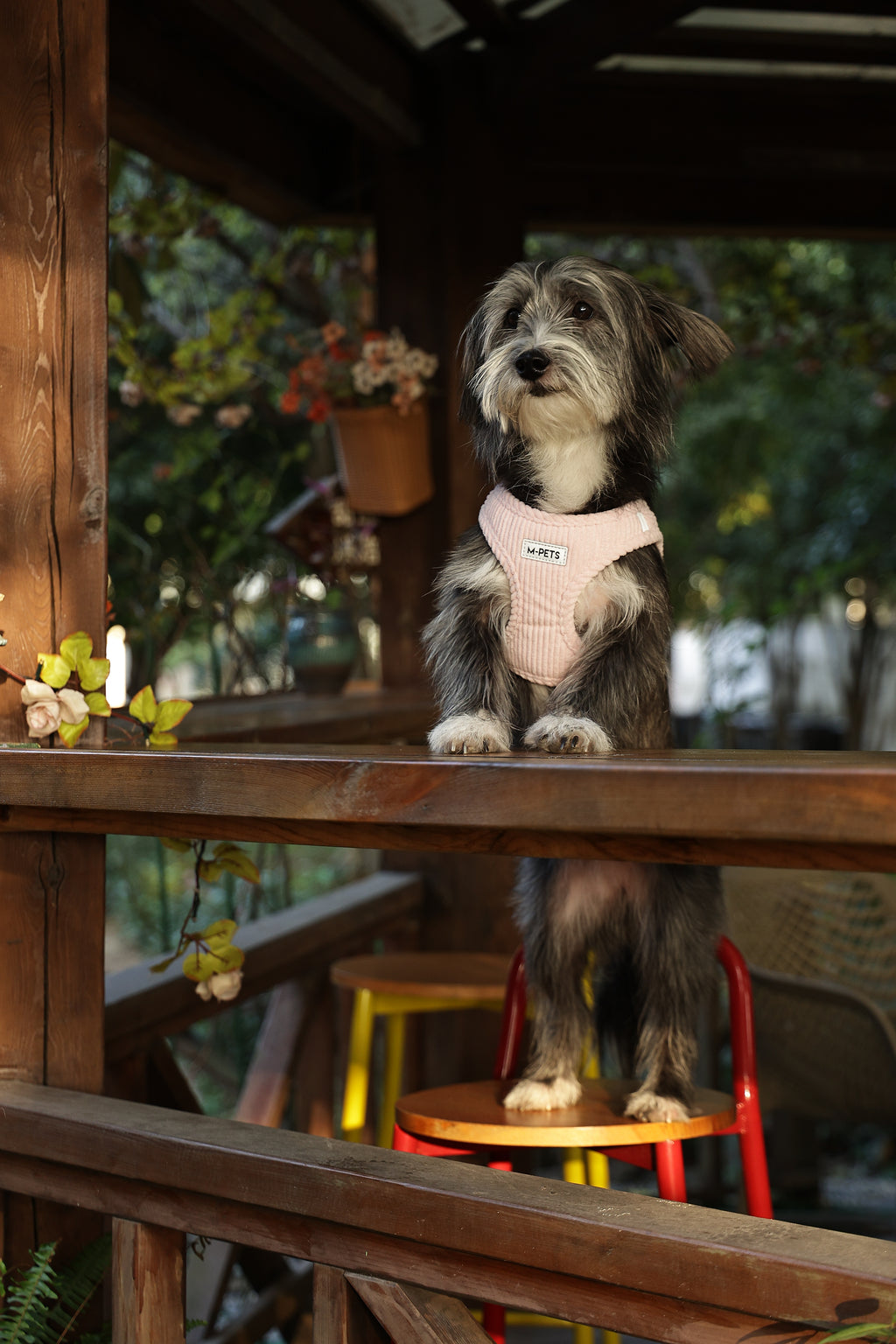 VELVET Dog harness Petal Pink
