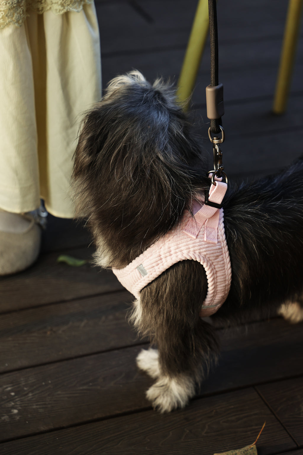 VELVET Dog harness Petal Pink